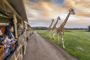 Free school holiday fun at Zoos Victoria