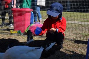 Fountain Gate Primary School celebrates community