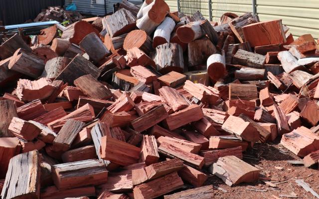 The Impact Of Firewood Collection Berwick Star News   Firewood 286923 01 