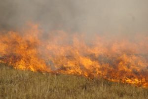 Fire risk continues