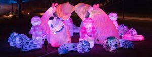 Dog lover’s delight lights up Bunjil Place