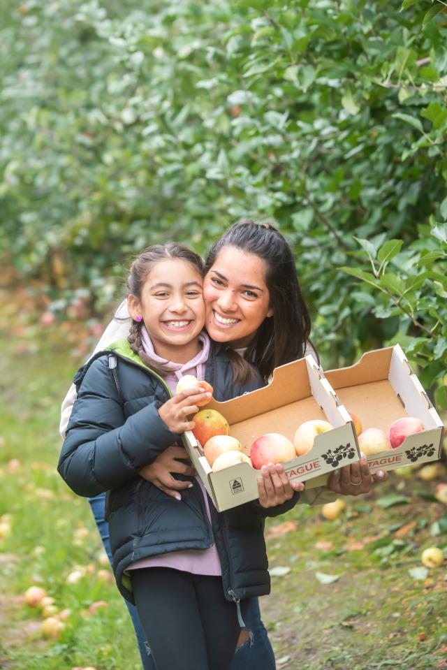 Apple Harvest Festival Proves Fruitful | Berwick Star News