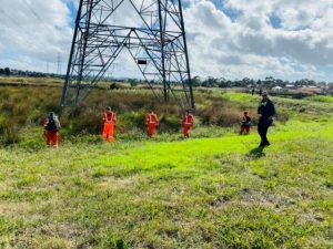 Police search Hallam wetlands for missing woman
