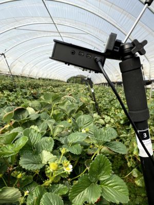 Farming with AI