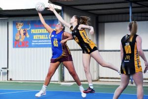 Beacy and Bulldogs all tied-up