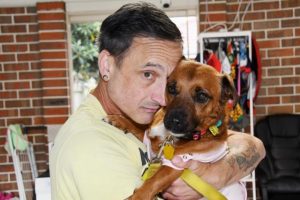 Prevention through education for dog attacks needed