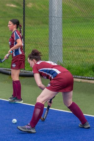 Cannons keep momentum rolling