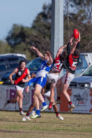 Berwick Springs belted by Blues as Bombers hold firm