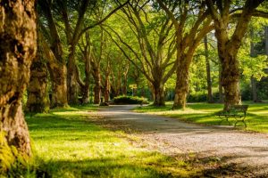 Building climate resilience