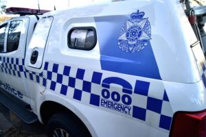 Three men arrested, vehicles seized following alleged hoon driving