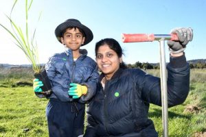 Grassroots help for wetlands