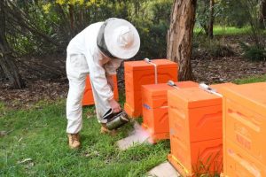 No hive left behind