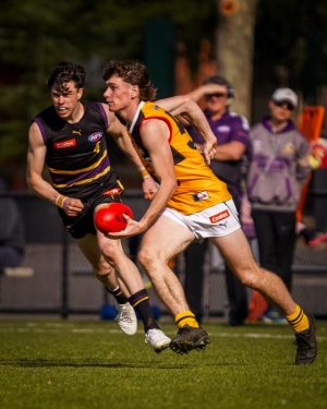 Rays clinical over Bushrangers