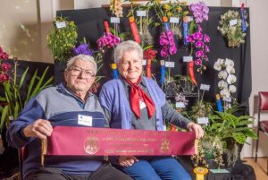 Show sees record crowds
