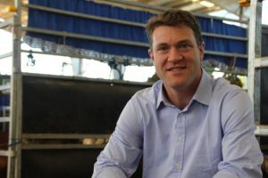 Beef yields mixed responses