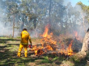 Fresh data leads CFA concern