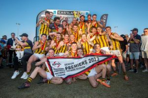 Hawks hold their nerve to make history