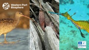 Western Port Biosphere refreshes for the decade ahead