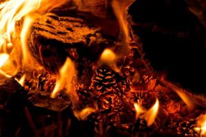 Man fined after industrial waste burn in Narre Warren East