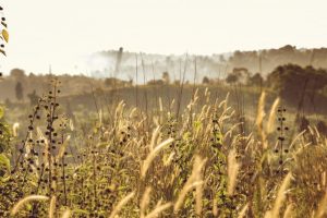 Chemical concerns