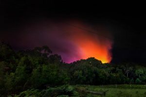 Authorities probe ‘arson’