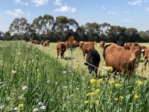 New podcast takes on farmer climate challenges