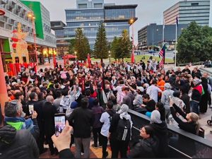 Council calls for ceasefire