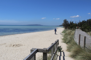 Planning for the future of Blue Carbon ecosystems across the Western Port