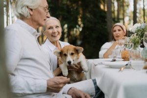 A furry solution to tackle loneliness