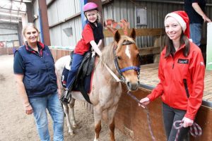 Coaches and horses needed at RDA