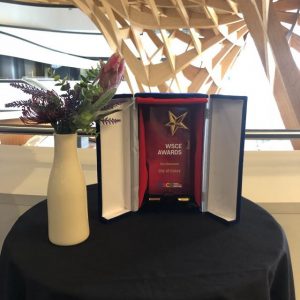 Casey awarded internationally for digital access