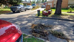 Green thumbs down to waste collectors