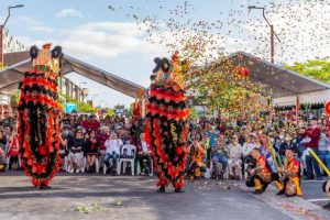 Lunar festival to delight Springvale