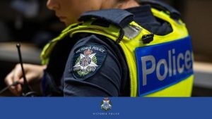 Dandy teen charged