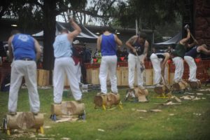 Berwick Show forced to axe wood chopping