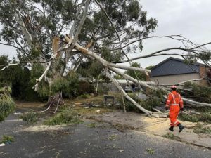 Storm recovery carries on