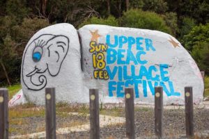Village Festival a triumph