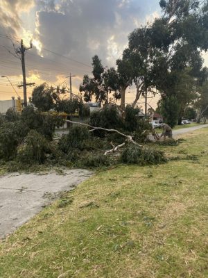 Storms hit Casey