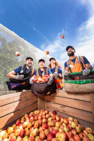 Apples for charity