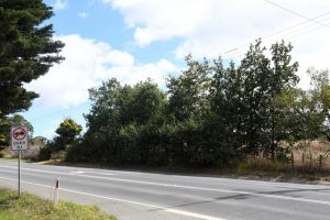 Place of worship proposed in Green Wedge Zone