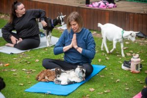 Downward goat? No kidding