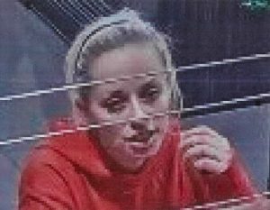 Thieves use stolen credit cards