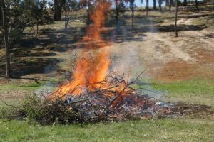 Fire restrictions ending