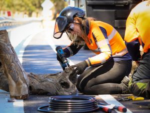 Log hollows join Hall Road upgrade