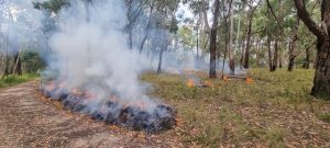 Planned burning season underway