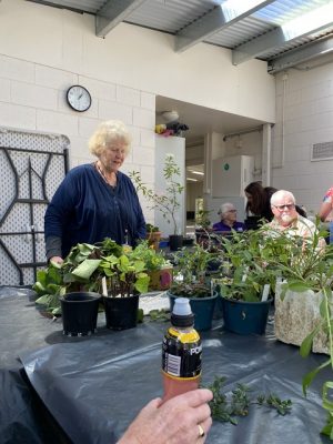 Plant propagation practice