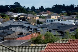 Casey gives nod to no dark roof policy
