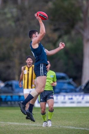 Berwick battered in bruising display