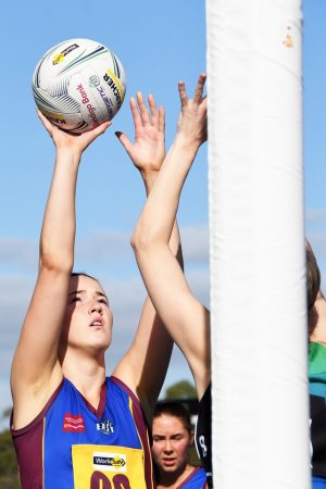 Lions looking likely on the netball court