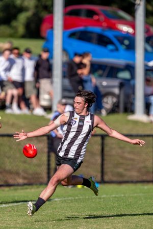 Magpie chicks doing the business for Kidd